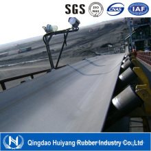 Special Industrial Chemical Conveyor Belt